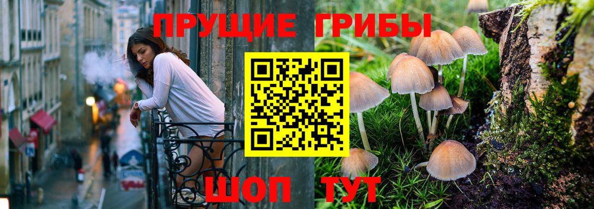 Псилоцибиновые грибы Magic Shrooms  Вход с VPN  Благовещенск 