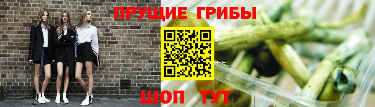 Галлюциногенные грибы ЛСД Благовещенск
