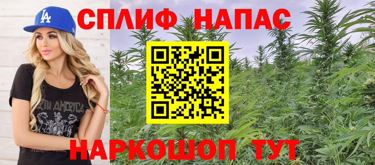 Бошки Шишки план Благовещенск